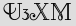 Security Captcha